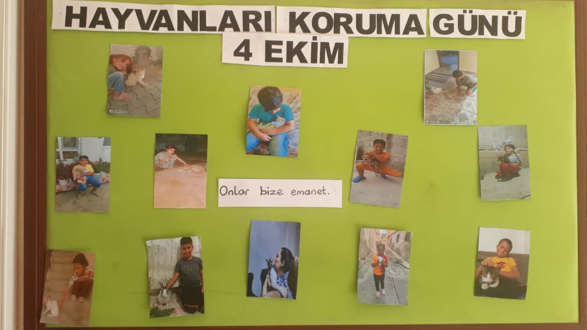 4 Ekim Hayvanları Koruma Günü